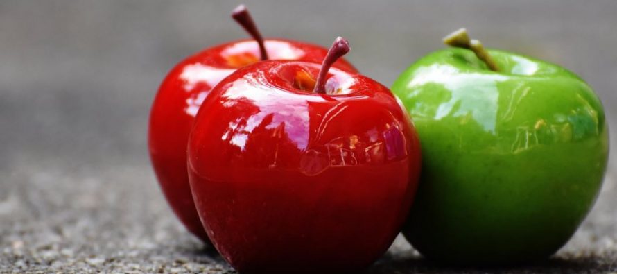 El CSIC descubre propiedades prebióticas en la sidra de manzana