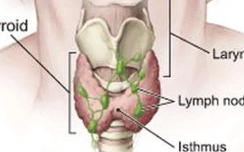 Monitorizar la tiroides en quirófano evita lesiones en las cuerdas vocales