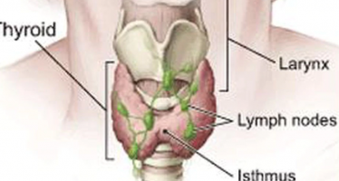 Monitorizar la tiroides en quirófano evita lesiones en las cuerdas vocales