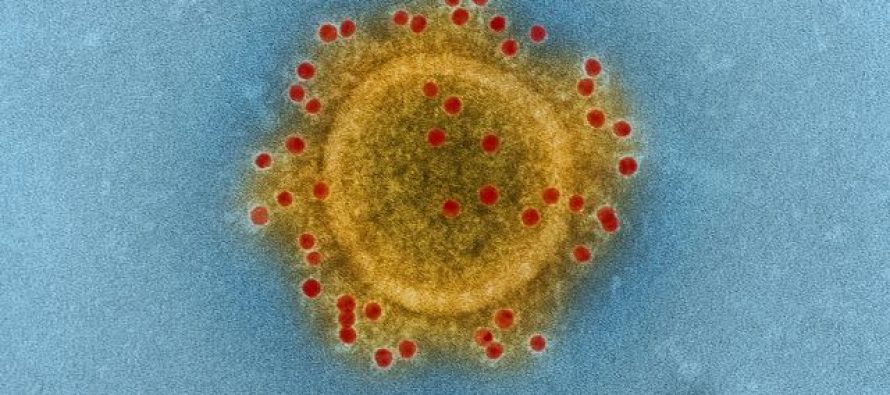 El coronavirus avanza por 71 países