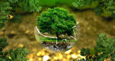 ‘Analiza sostenible’, programa que promueve medidas para el cuidado del medio ambiente