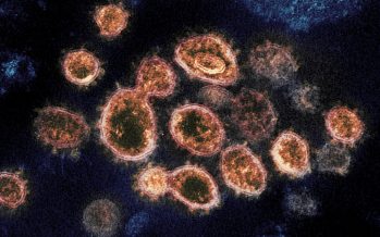 Nuevas medidas de prevención frente al coronavirus