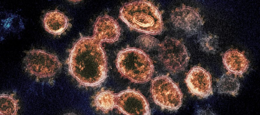 Nuevas medidas de prevención frente al coronavirus