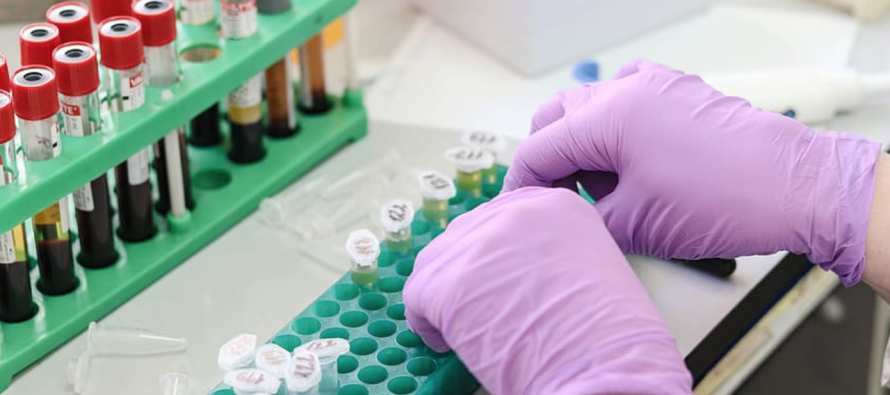 España realiza más de tres millones de PCR desde el inicio de la epidemia por Covid-19