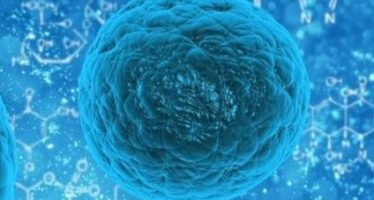 BMS: Progreso en el tratamiento de pacientes con cáncer y enfermedades hematológicas