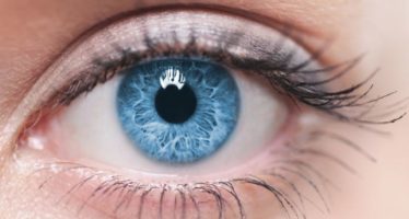 Genes involucrados en el color de los ojos