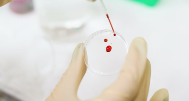 Investigadoras españolas fabricarán sangre artificial