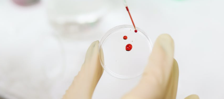 Investigadoras españolas fabricarán sangre artificial