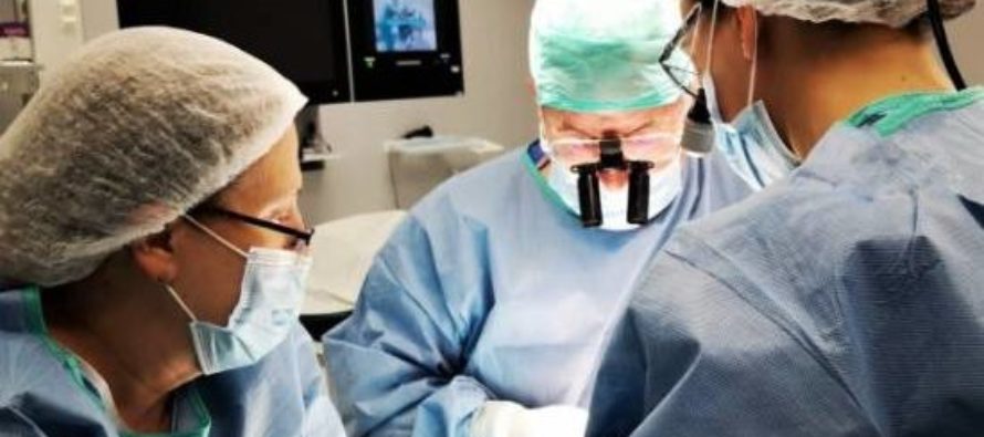 Hospital La Luz: Prótesis de titanio en el hueso maxilar superior
