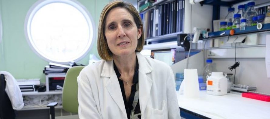 Isabel Sola: «No somos conscientes de que los coronavirus tienen la capacidad de volver a emerger»