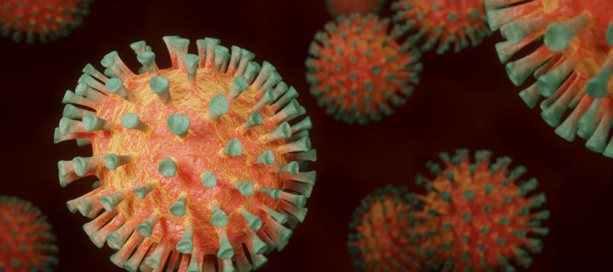 ¿Qué es el citomegalovirus?