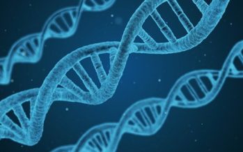 Identifican un nuevo gen que puede aumentar el riesgo de padecer ELA