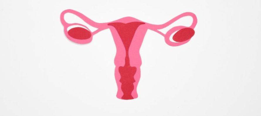 El 80% de los tumores de ovario se diagnostican tarde