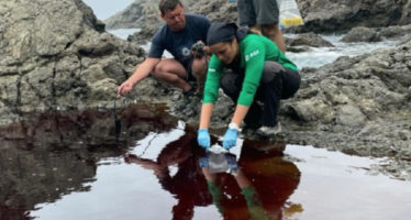 Científicos del CSIC exploran los microorganismos de las Islas Salvajes