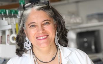 Fernández-Sesma: «Lo que está pasando es que las dosis de vacuna están caducando»