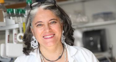 Fernández-Sesma: «Lo que está pasando es que las dosis de vacuna están caducando»
