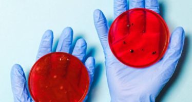 Bacterias superresistentes: mataron en 2019 a más personas que el cáncer y el sida juntos