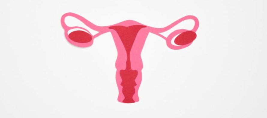 Cáncer de ovario: Predicen su aparición años antes tras descubrir cómo se inicia en pacientes de alto riesgo