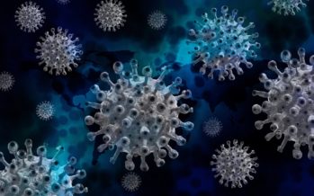 El sistema inmune restringe la evolución de los virus
