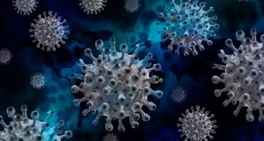 El sistema inmune restringe la evolución de los virus