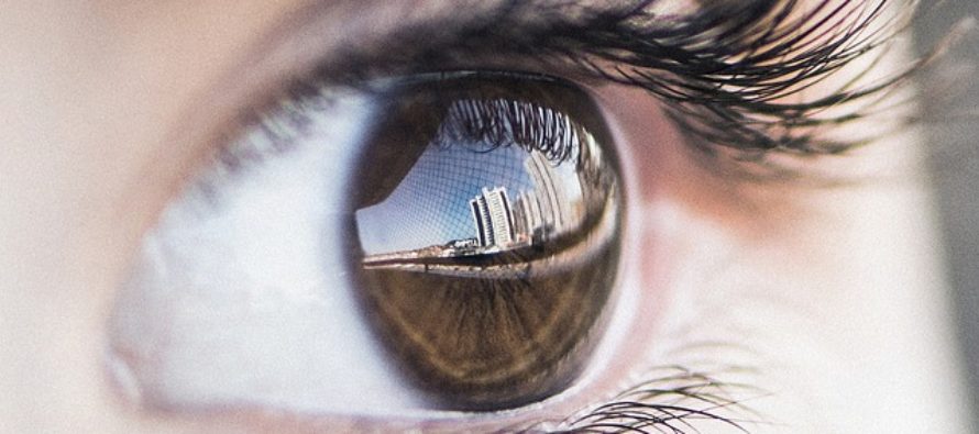 Las células T de la córnea protegen a los ojos de infecciones virales
