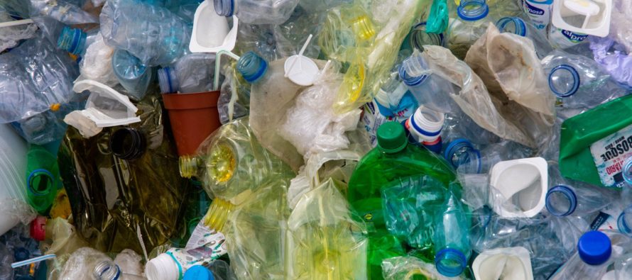 Bruselas propone prohibir una sustancia tóxica presente en plásticos y envases
