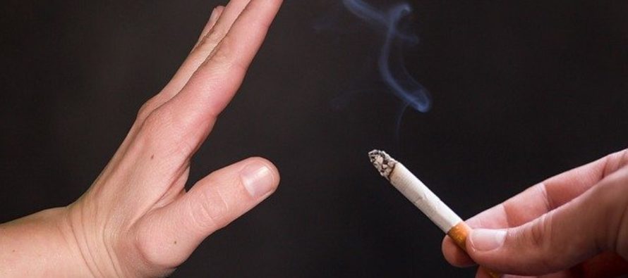 La Asociación Española Contra el Cáncer pide que se prohíba fumar en el Retiro