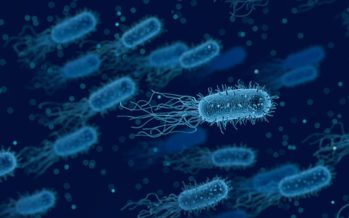 Una investigación muestra detalles de cómo las bacterias pueden resistir a los antibióticos