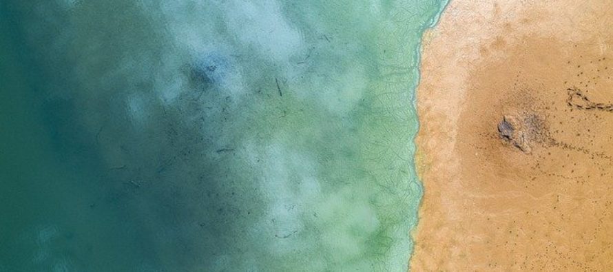 La incidencia del melanoma sube cerca de un 50% en 20 años