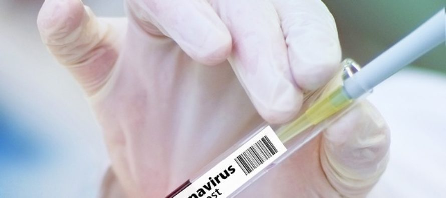 Europa autoriza las vacunas contra el Covid adaptadas a Ómicron de Pfizer y Moderna