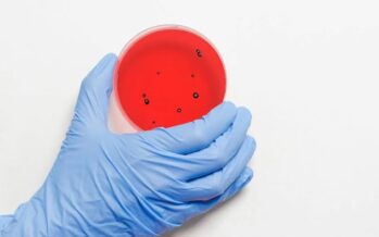 Nuevo antibiótico eficaz contra una ‘superbacteria’