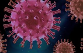 Científicos dan las claves para nuevas pandemias