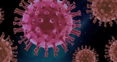 Científicos dan las claves para nuevas pandemias