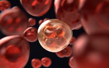 Una prueba detecta 14 tipos de cáncer en fases tempranas con un análisis de sangre