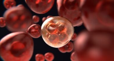 Una prueba detecta 14 tipos de cáncer en fases tempranas con un análisis de sangre