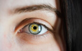 Células oculares cultivadas para curar la ceguera