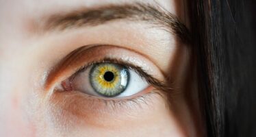 Células oculares cultivadas para curar la ceguera