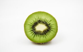 Motivos para incluir el kiwi en la dieta