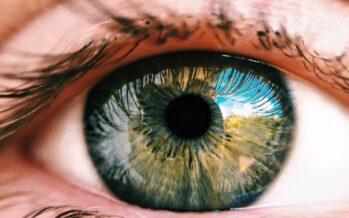 7.500 navarros no saben que padecen glaucoma