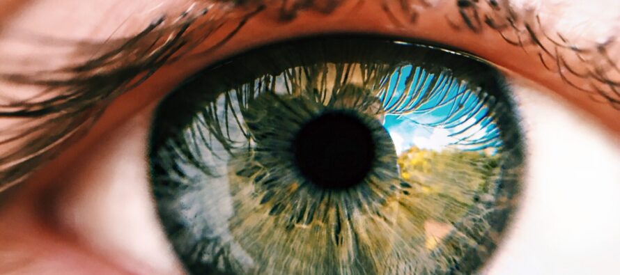 7.500 navarros no saben que padecen glaucoma