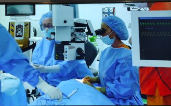 El Hospital de Fuenlabrada celebra el curso de Cirugía Oculoplástica