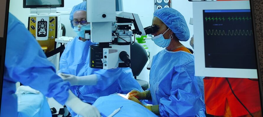 El Hospital de Fuenlabrada celebra el curso de Cirugía Oculoplástica