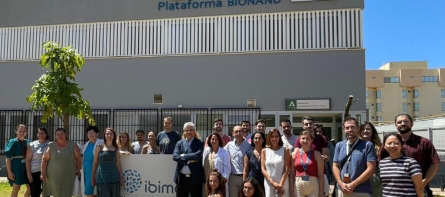 Estudio para diferenciar distintos tipos de hepatitis autoinmunes