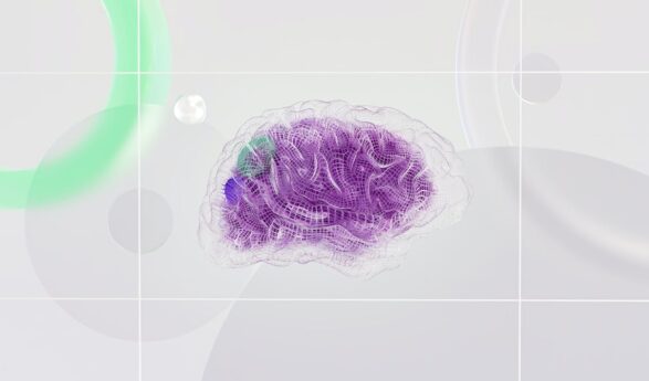 Identifican un circuito cerebral responsables de algunos trastornos del neurodesarrollo como el autismo