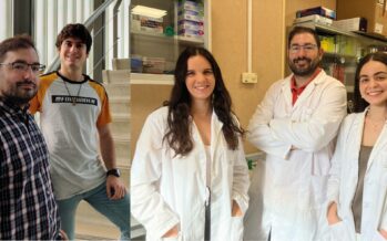 Un estudio permite hacer nuevas conexiones entre las enzimas y las enfermedades neurodegenerativas