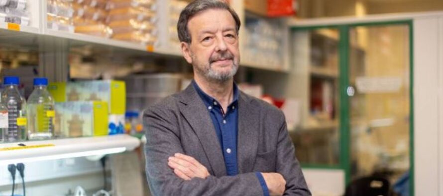 Luis Álvarez-Vallina