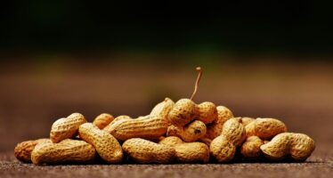 Primer fármaco que reduce las reacciones alérgicas a alimentos como el cacahuete