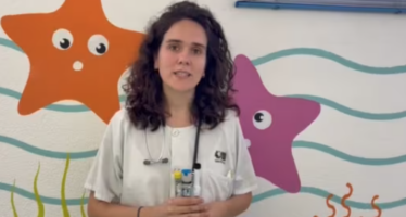 SEICAP advierte de la falta de formación en alergia  entre los monitores de campamento