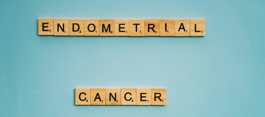 Nuevo estudio vincula grasa visceral con mayor agresividad en el cáncer de endometrio