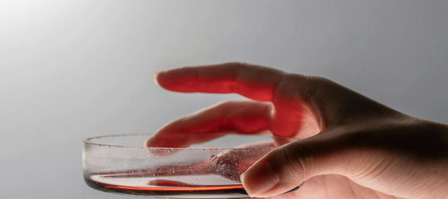 Investigadores crean en el laboratorio un modelo realista de médula ósea a partir de células humanas